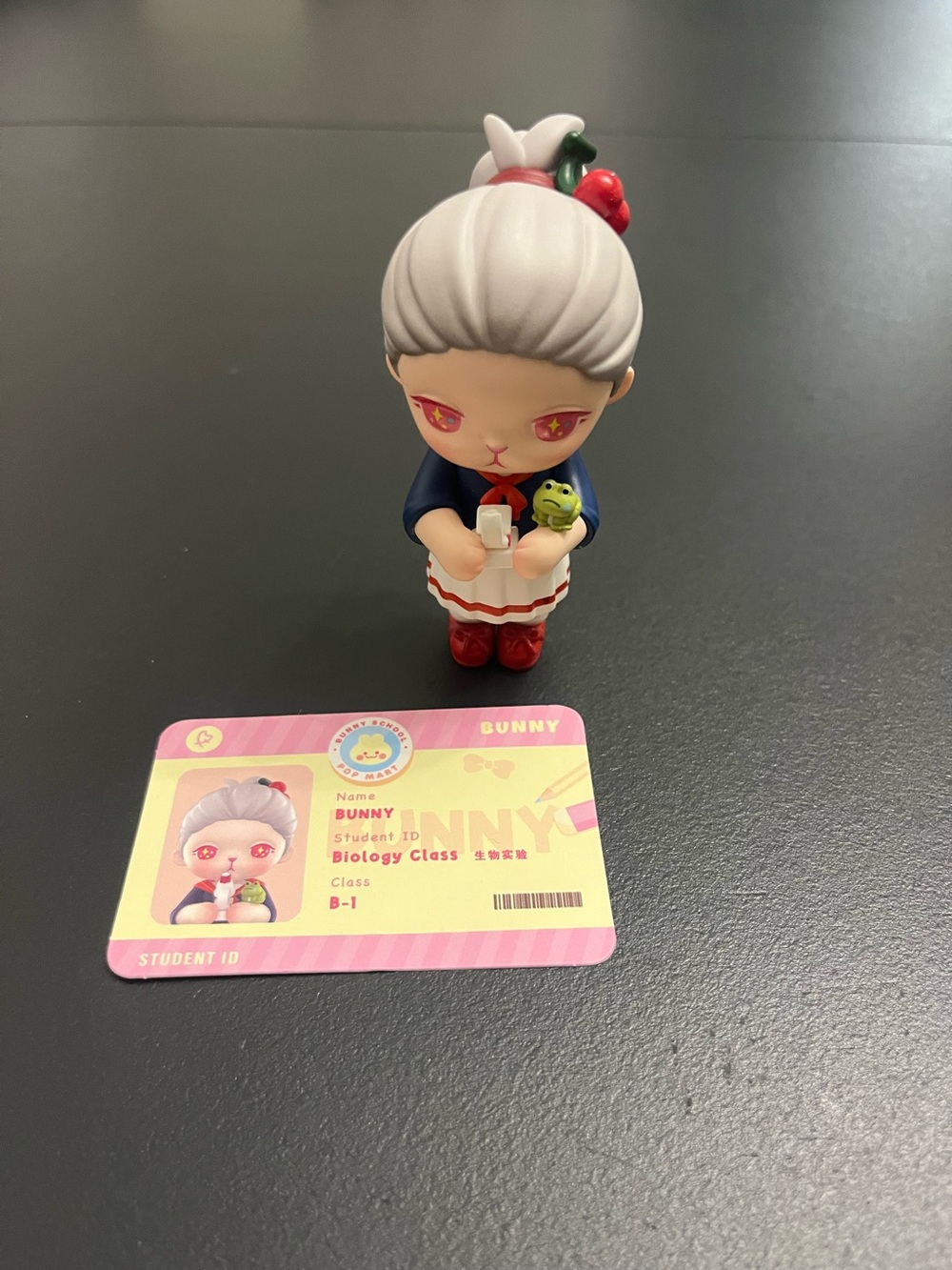 Pop Mart Bunny School Days - Biology Class